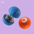 EchoSphere (Voice-activated pet toys)