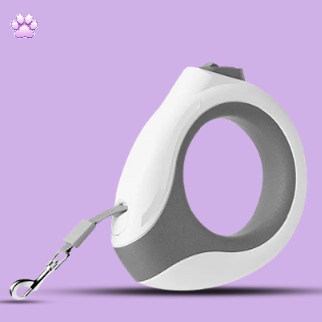 Pet Leash
