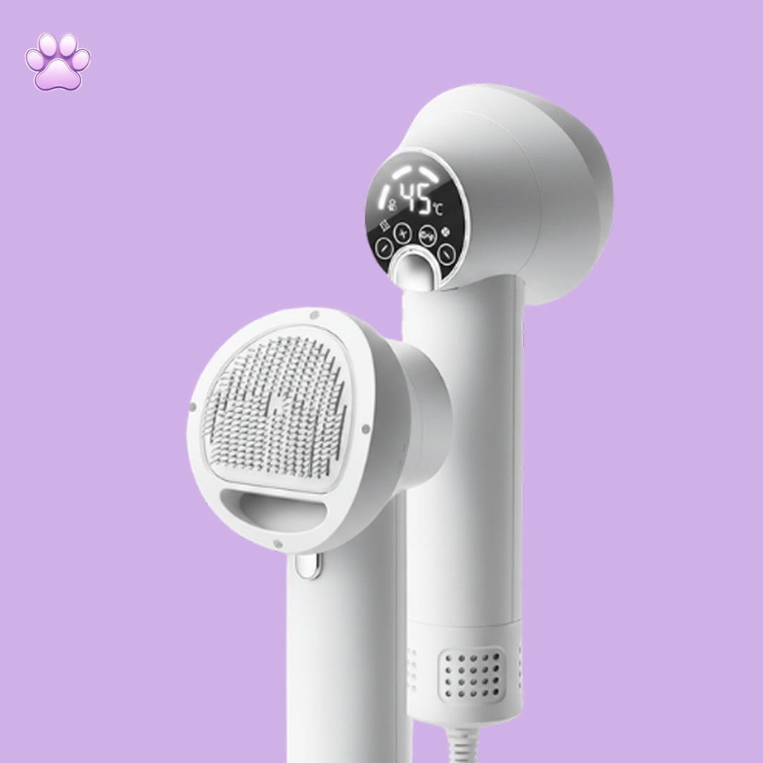 Pet Hairdryer