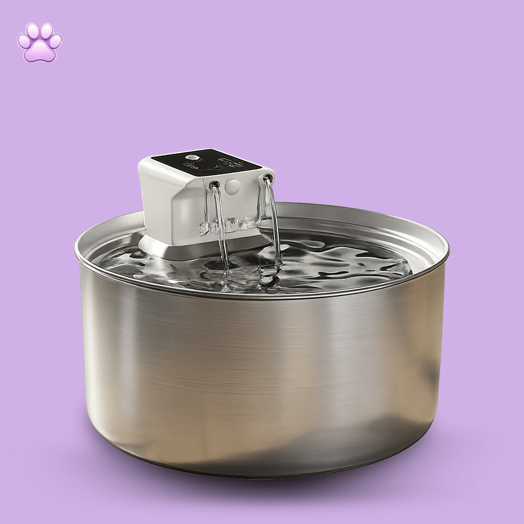Pet Water Fountain