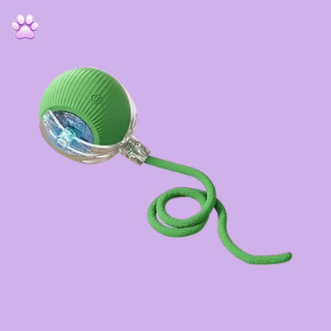 Teasing device for pets
