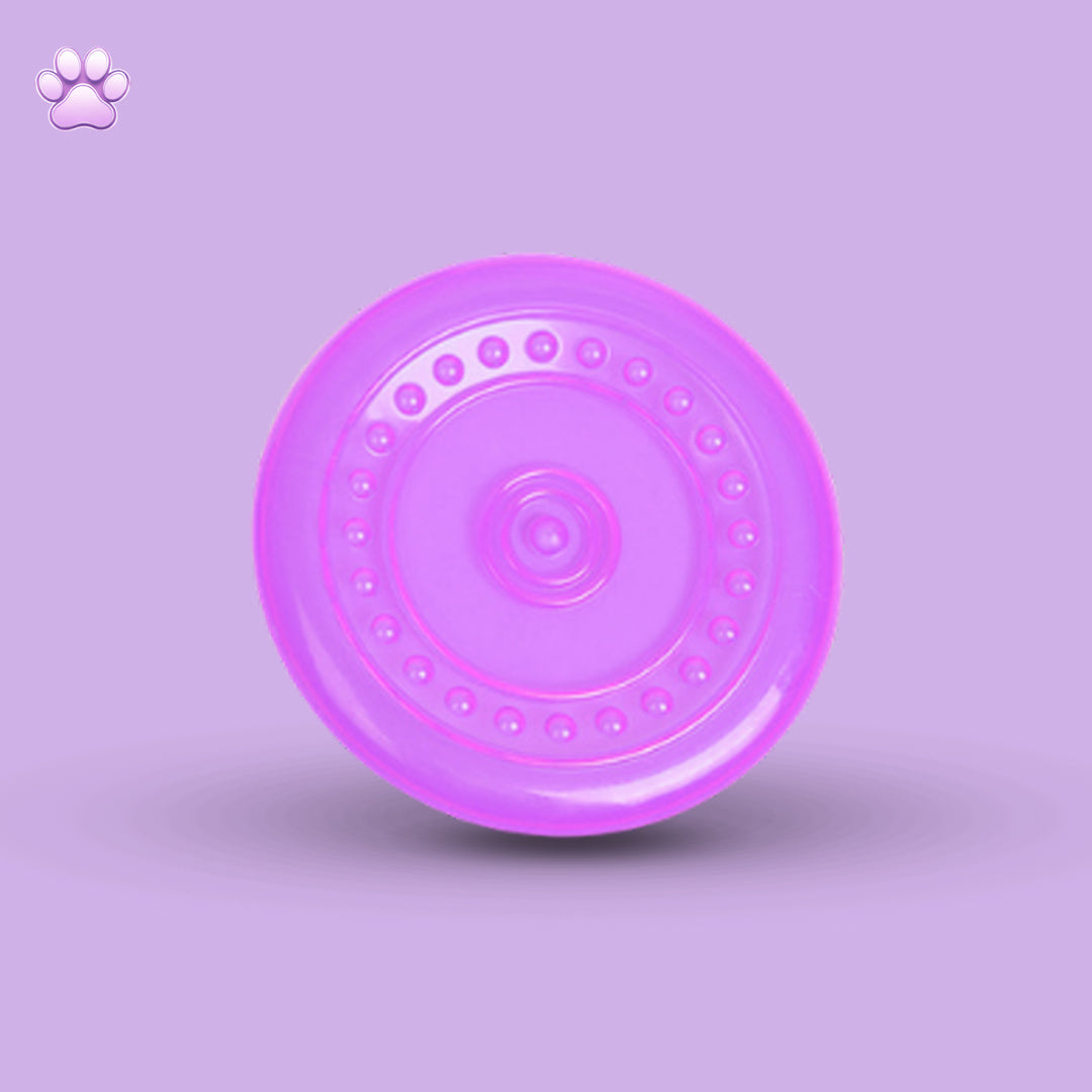 Pet Frisbee Toy