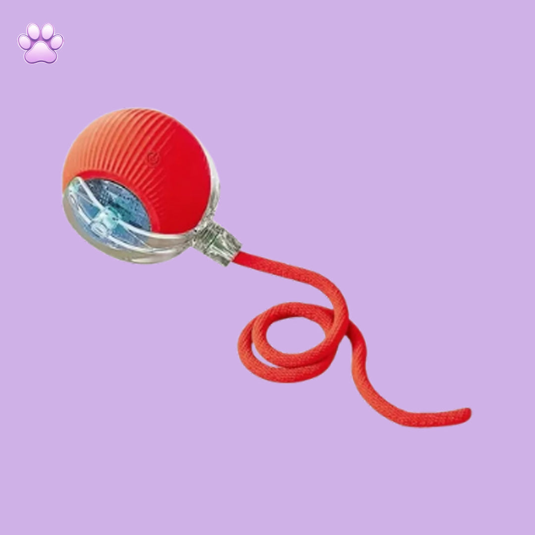Teasing device for pets