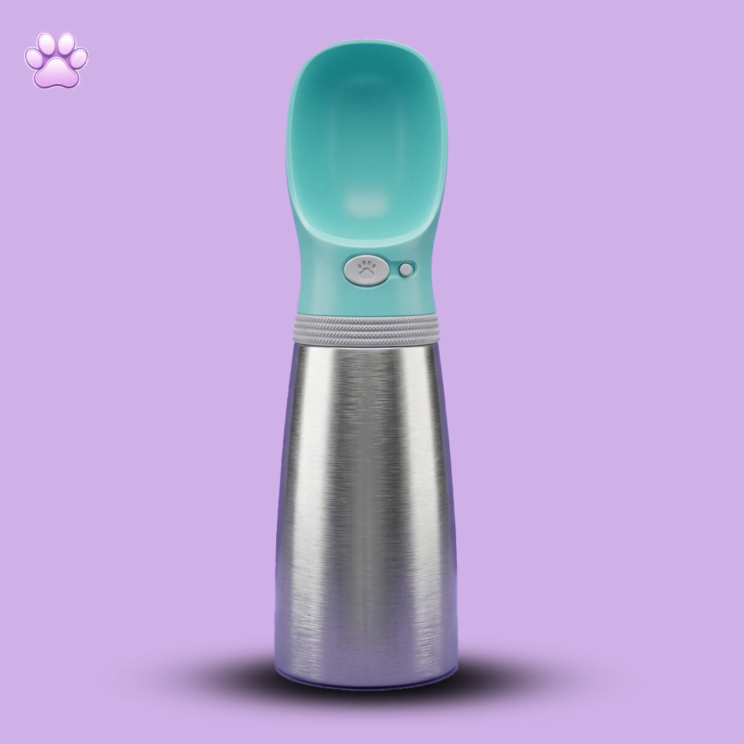 Pet Water Feeder