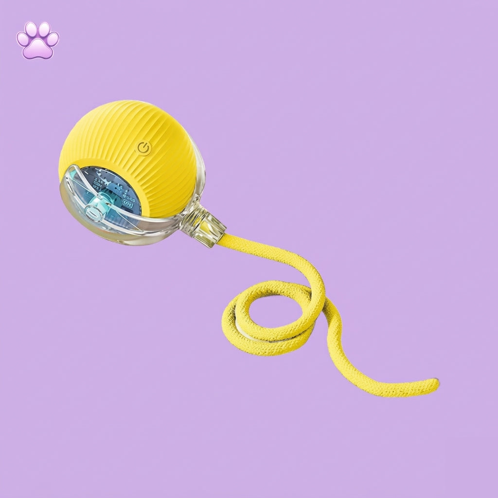 Teasing device for pets